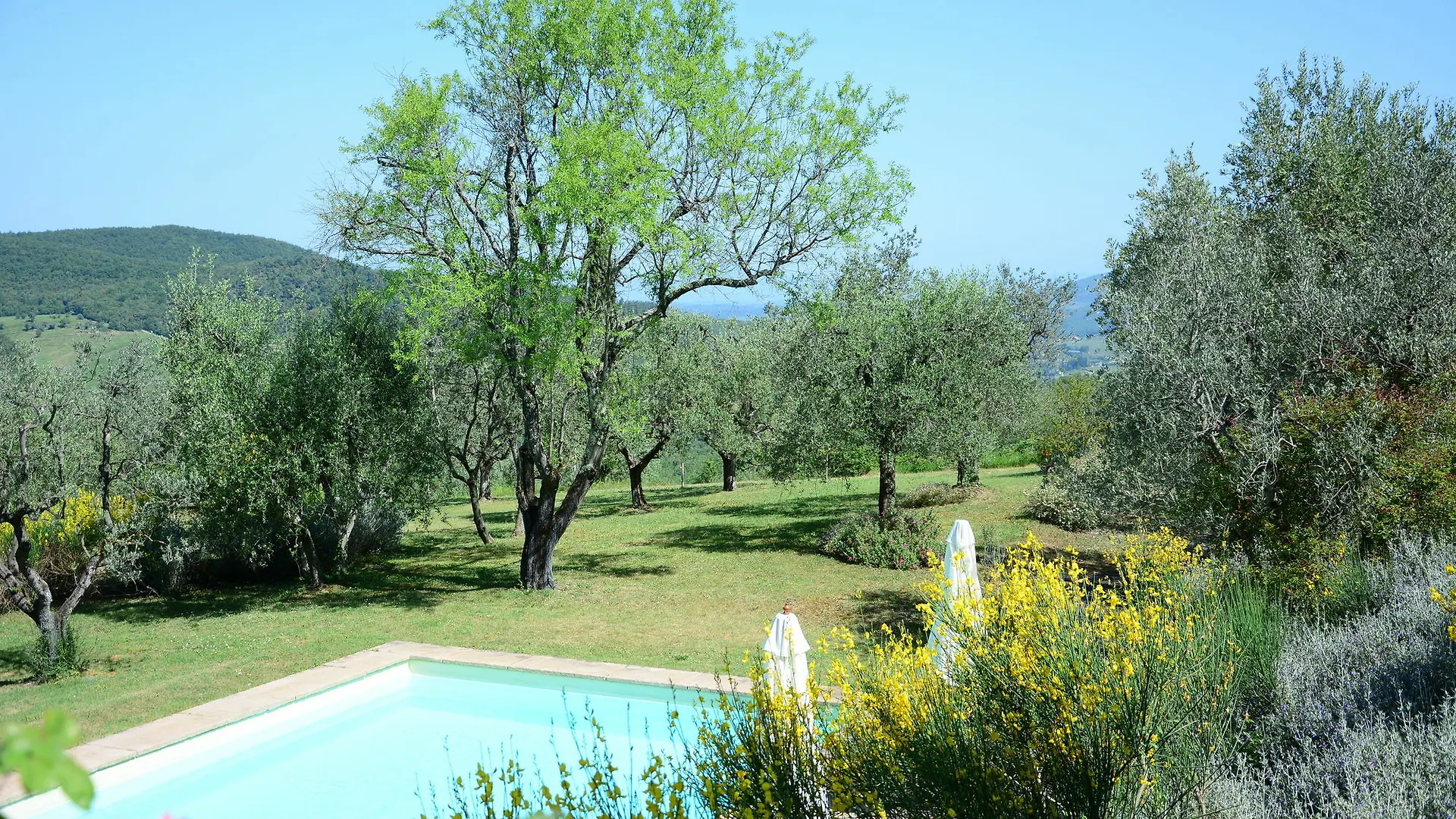 Relais Fattoria Valle Panzano in Chianti 0*,